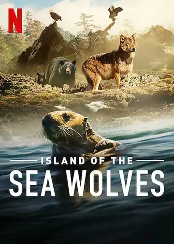  Волки острова Ванкувер 